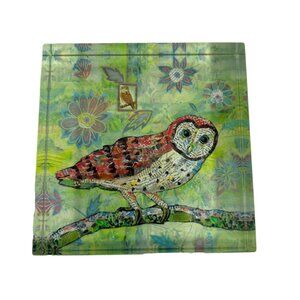 Creative Co-op Owl Acrylic Paperweight Green Orange Whimsical Desk Office Decor